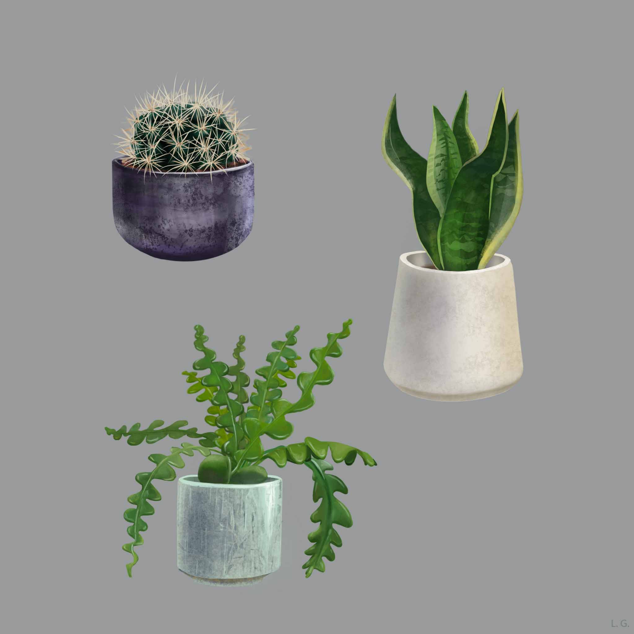 Prop plants illustration